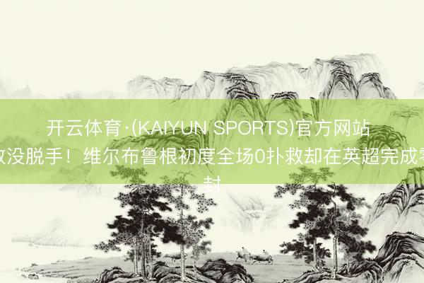 开云体育·(KAIYUN SPORTS)官方网站 以致没脱手!维尔布鲁根初度全场0扑救却在英超完成零封