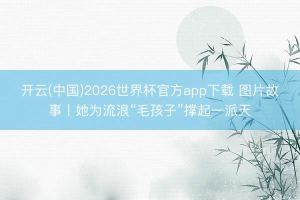 开云(中国)2026世界杯官方app下载 图片故事丨她为流浪“毛孩子”撑起一派天