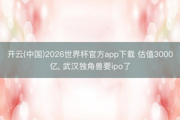 开云(中国)2026世界杯官方app下载 估值3000亿， 武汉独角兽要ipo了