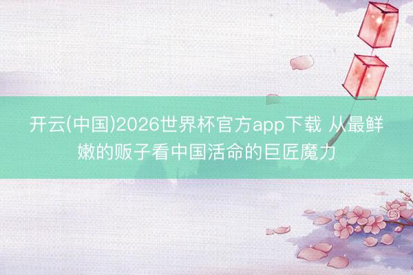 开云(中国)2026世界杯官方app下载 从最鲜嫩的贩子看中国活命的巨匠魔力