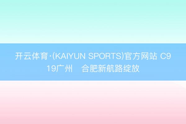 开云体育·(KAIYUN SPORTS)官方网站 C919广州⇌合肥新航路绽放